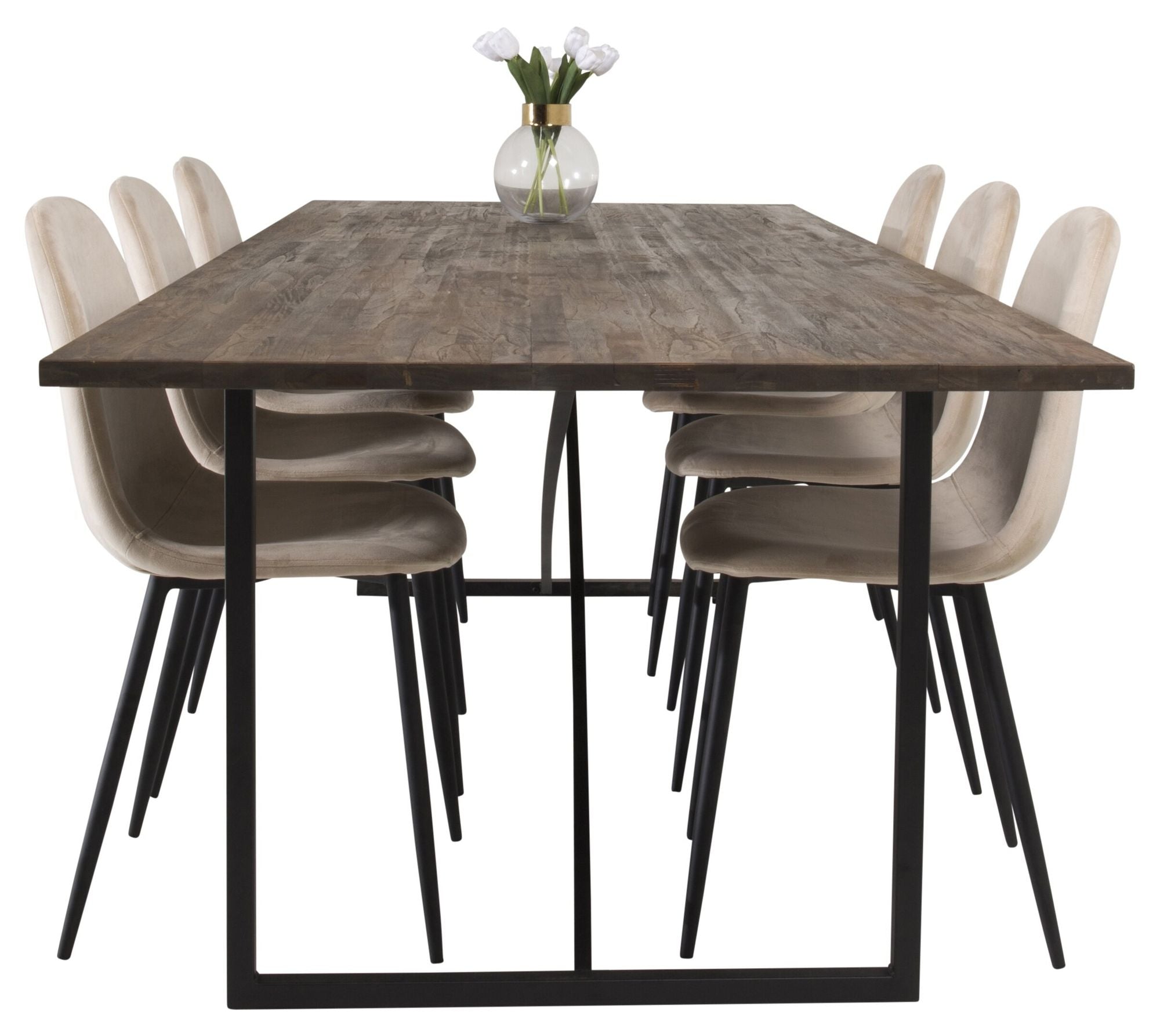 Venture Home Padang Matbord - Svart / mörk Teak - 250*100*H76+Polar Spisebordsstol - Black legs / Beige Velvet_6