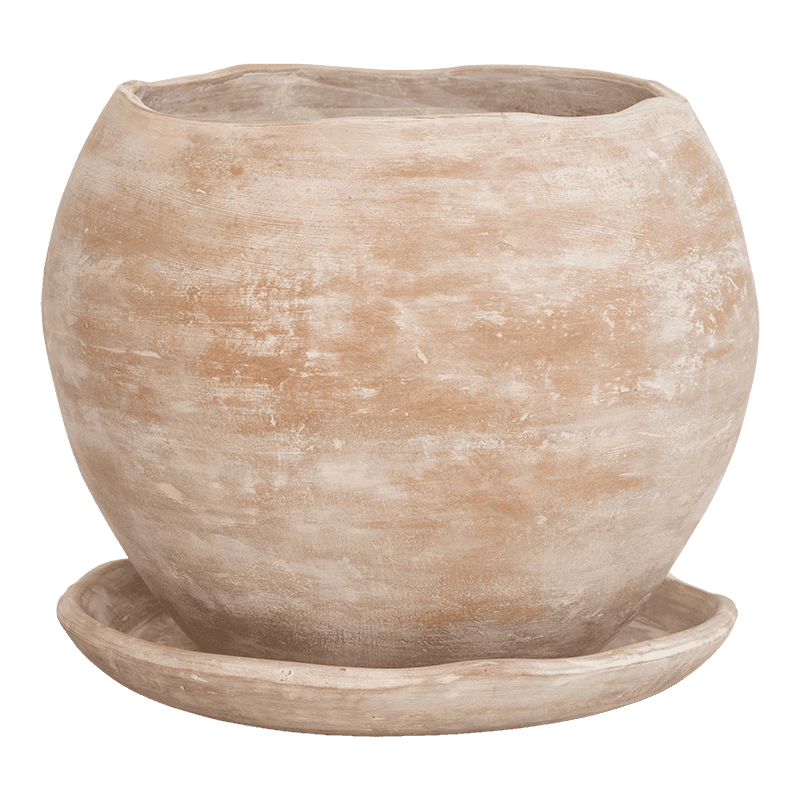 Potte Terra