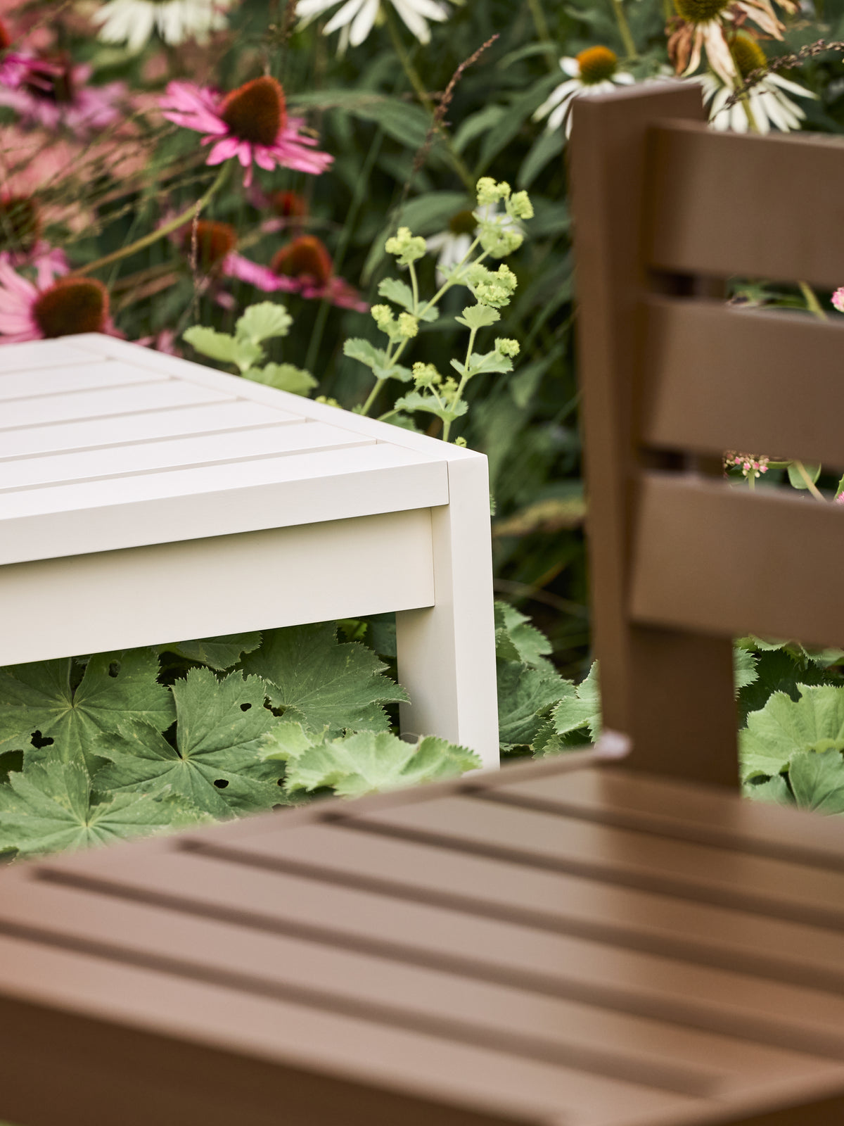 Haus Skammel Beige