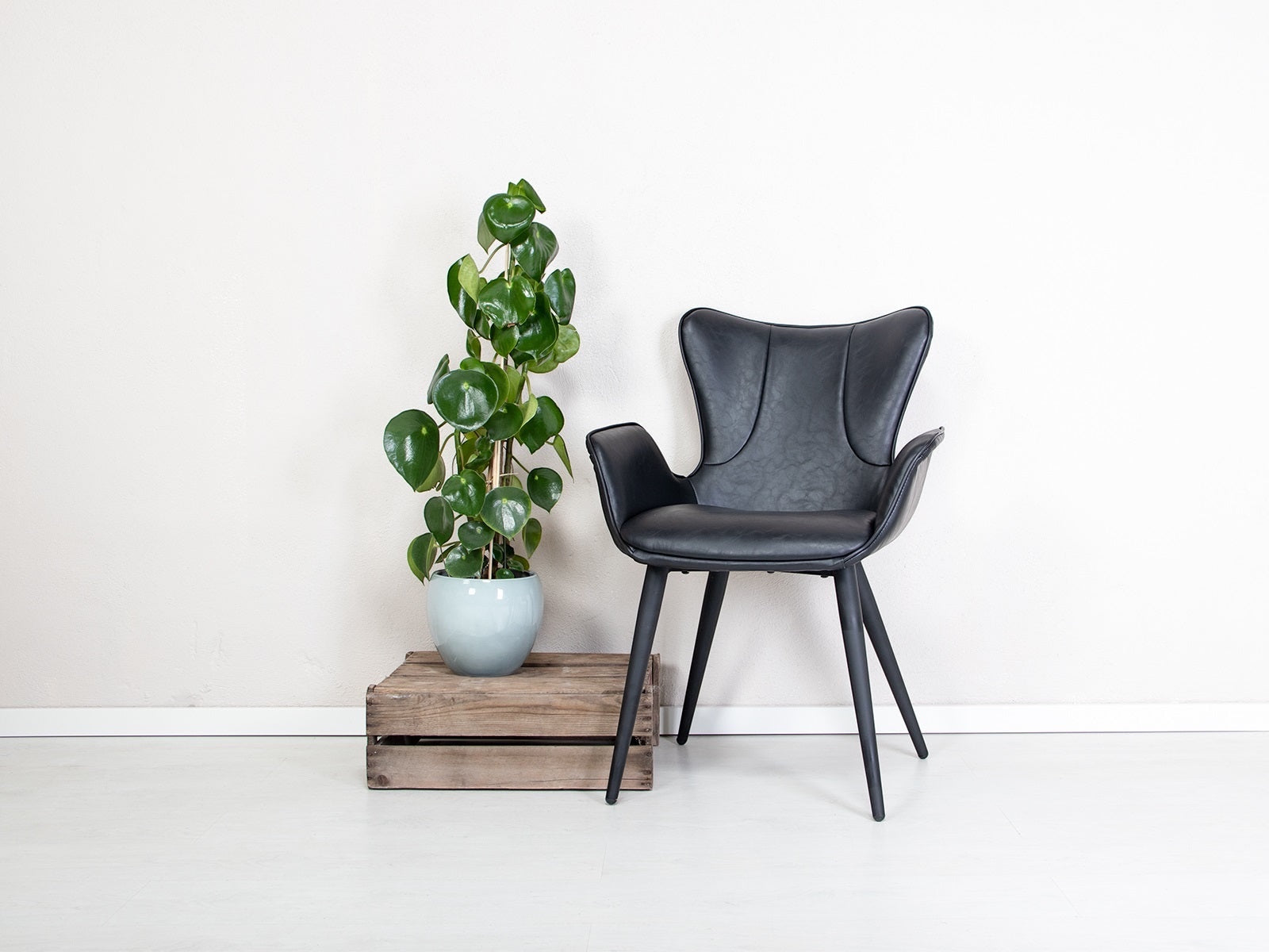 Spisebordsstol Sort (Model: Mist) (2 stk)
