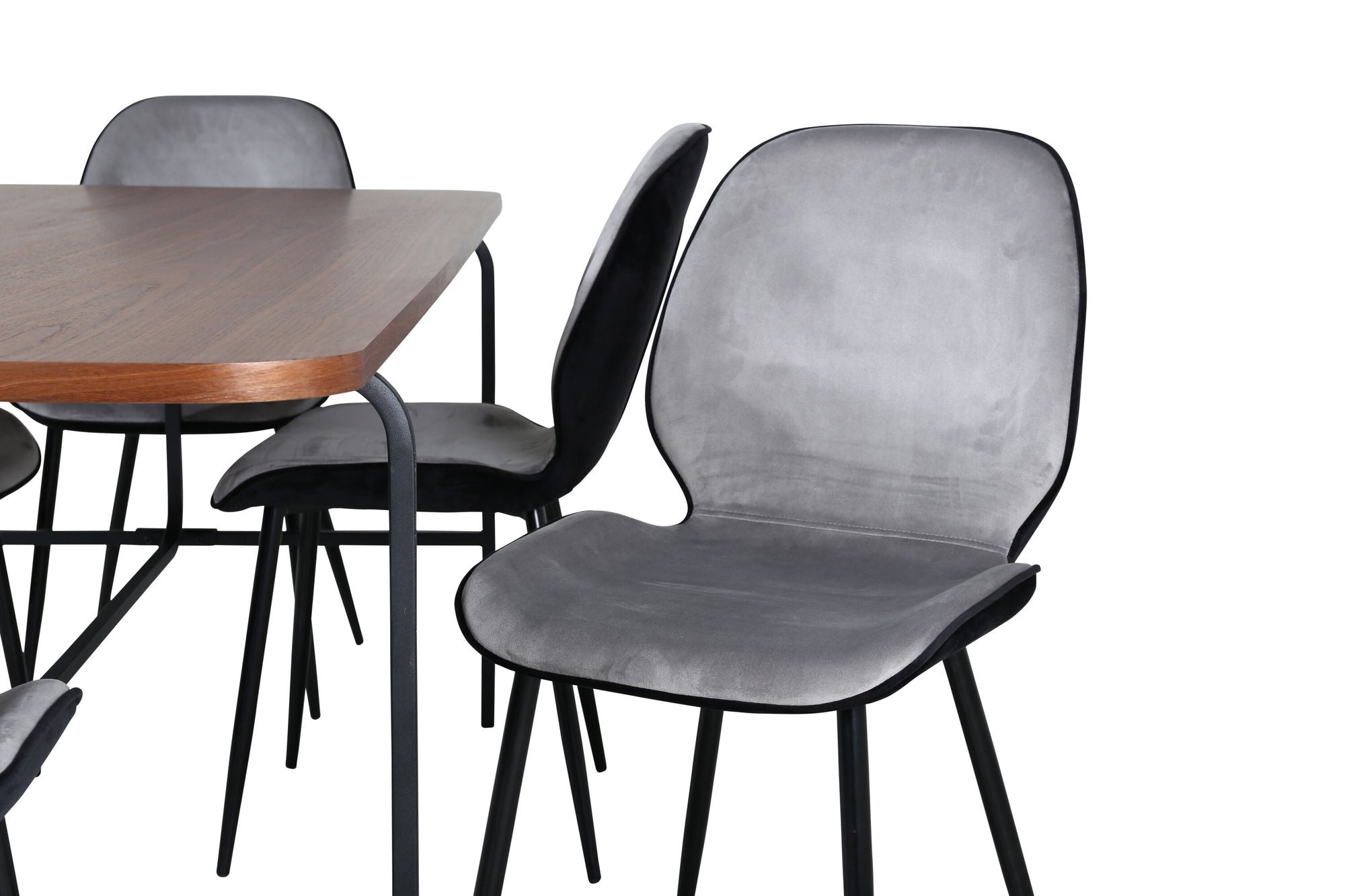 Venture Home Uno spisebord - Black / Walnut Veneer+Emma stol - Black / Black and Light Grey Black Velvet in Back Grey Velvet in front_6