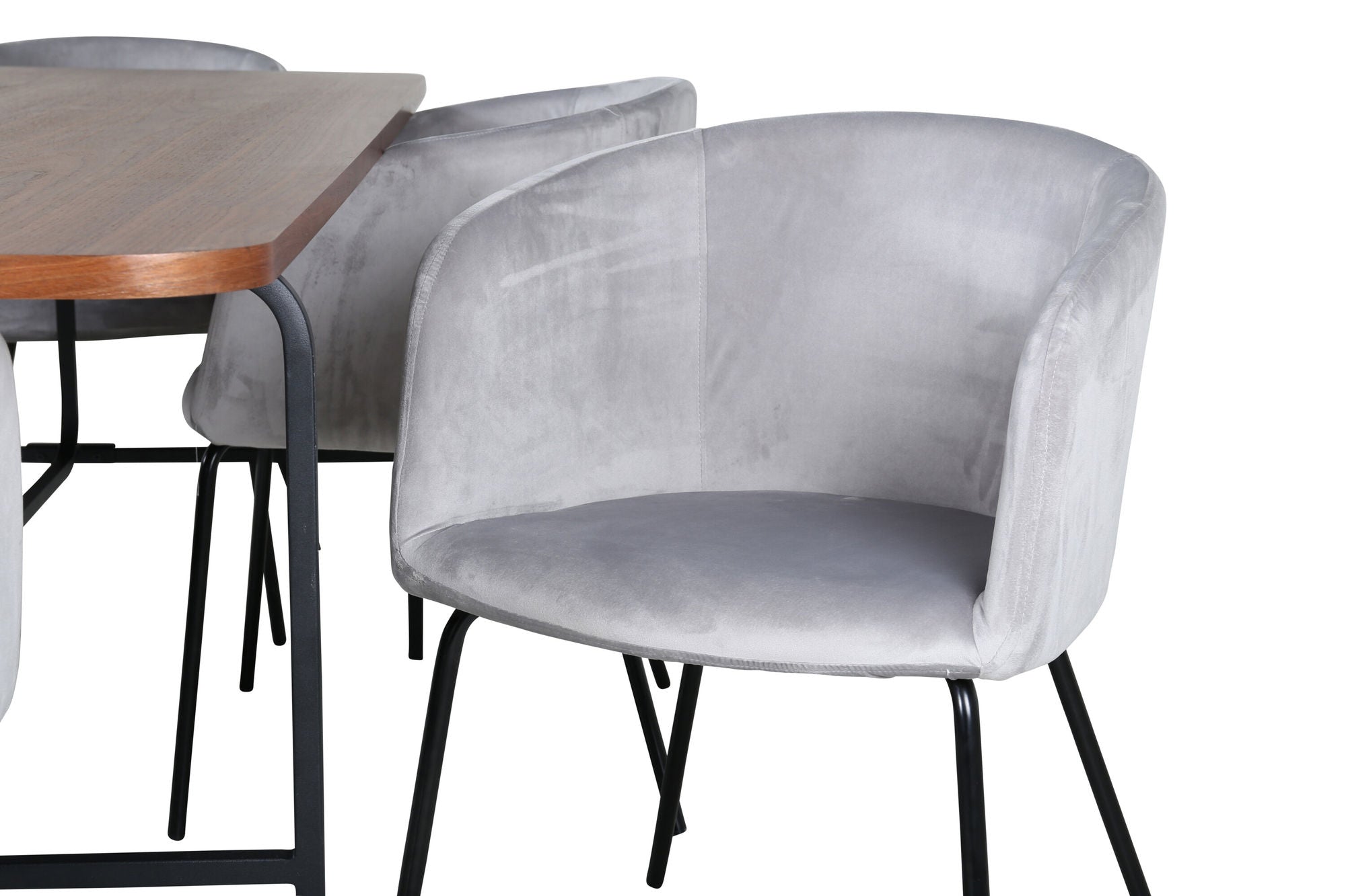 Venture Home Uno spisebord - Black / Walnut Veneer+Berit stol - Black / Light Grey Velvet_6