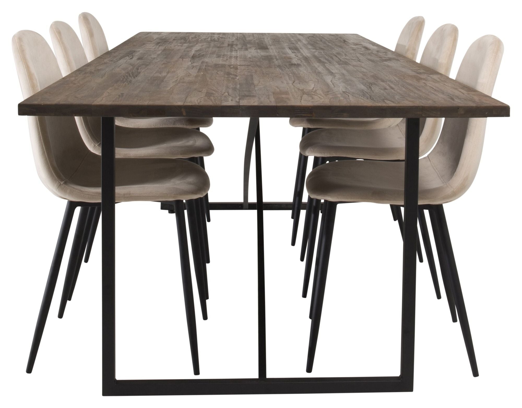 Venture Home Padang Matbord - Svart / mörk Teak - 250*100*H76+Polar Spisebordsstol - Black legs / Beige Velvet_6