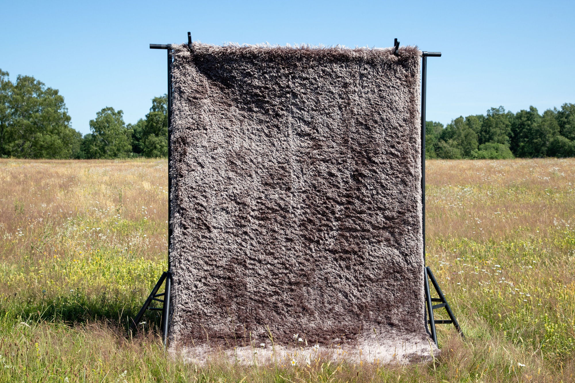 Venture Home Grace Polyester Carpet - 200*300- Chocolate