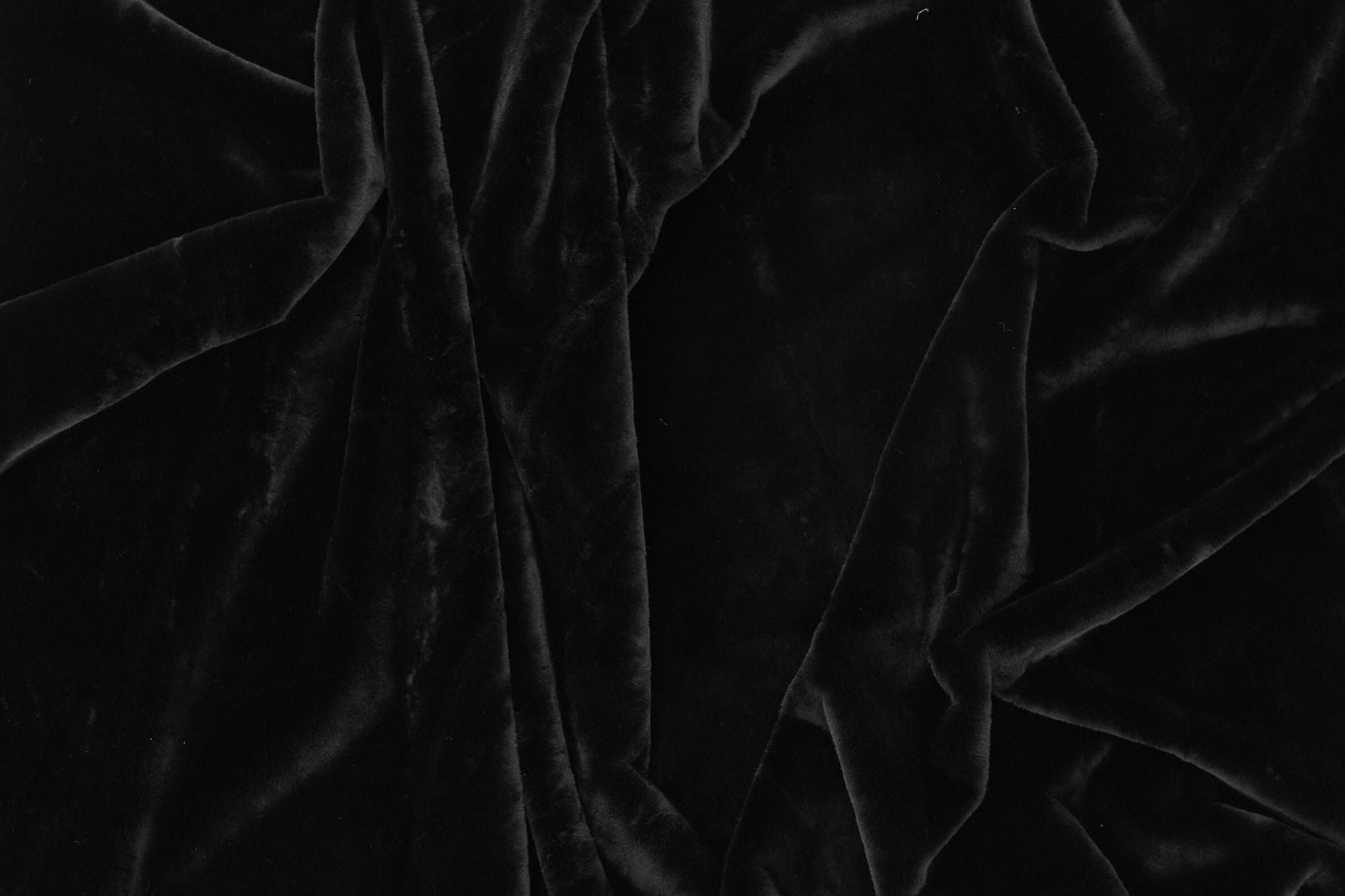 Venture Home Nina Polyester - 300*200- -Rectangular-Black