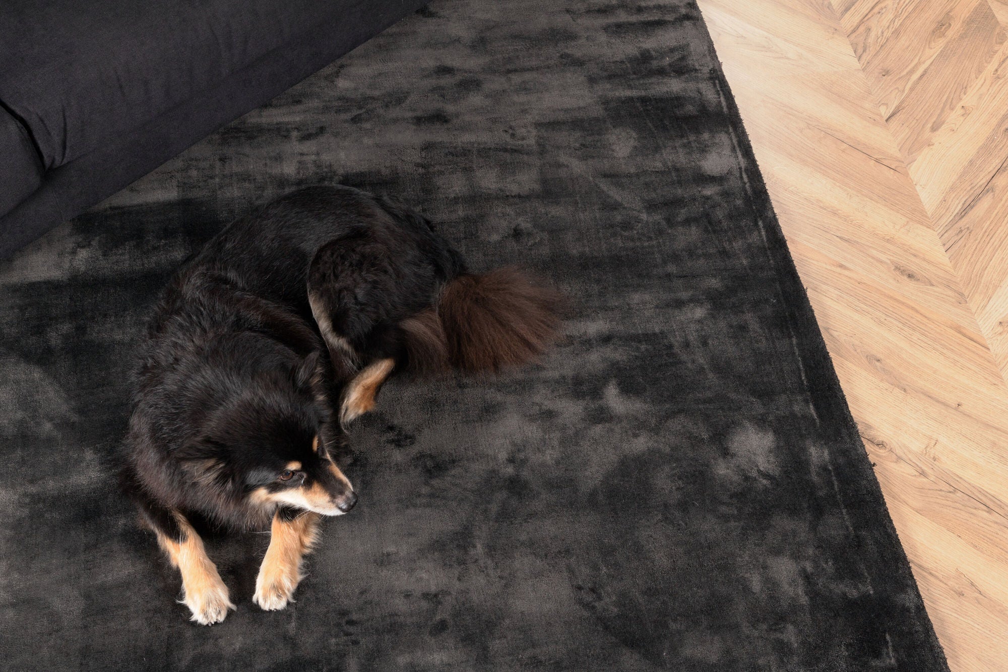 Venture Home Indra Viscose Carpet - 250*350cm - Dark Grey