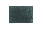 Venture Home Undra Viscose Carpet 170*240 Green