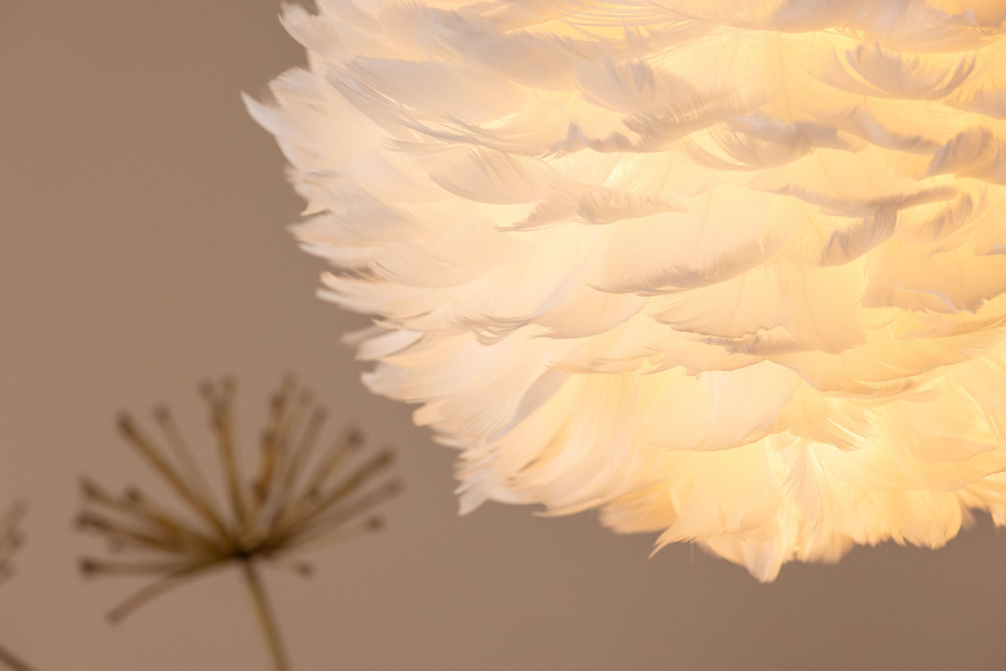 Venture Home Nicola - Small Pendant lampe - White / White artificial feather