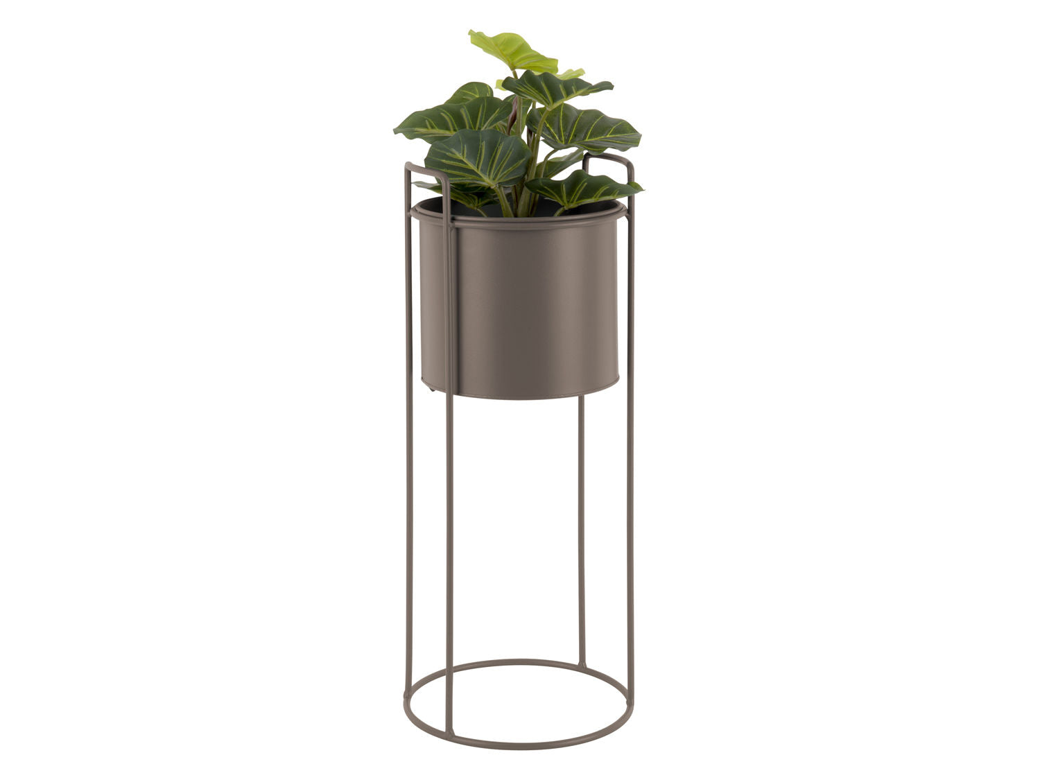 PT LIVING Plant pot set Essence round iron moss green