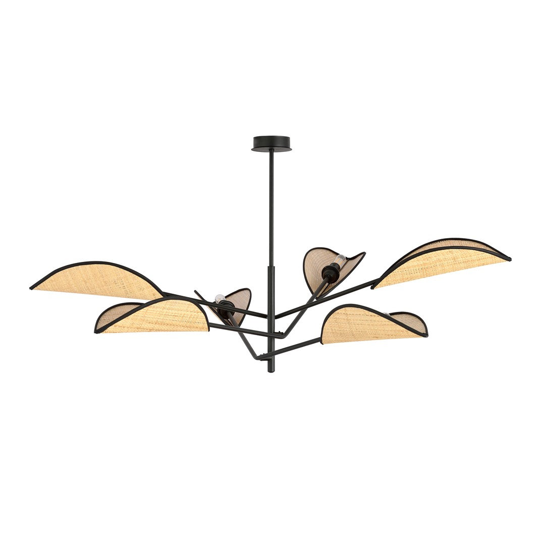 VENE 6 SORT/RATTAN
