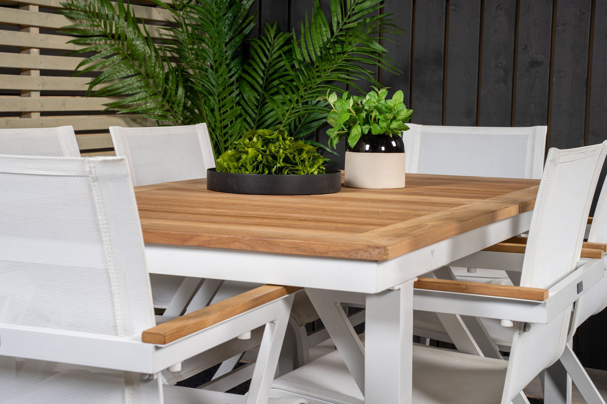 Venture Home Panama spisebord 160/240*90 - White Alu / Teak+Mexico Arm stol (stackable) - White / Teak _6