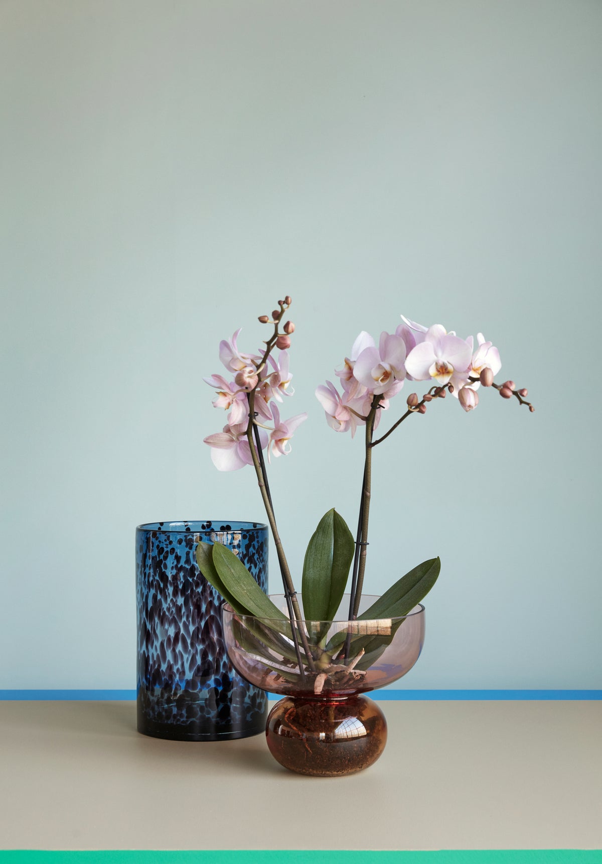 Udstillingsvase rosa/ravfarvet