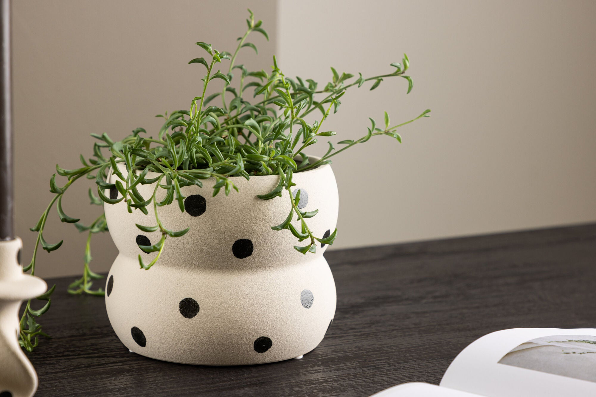 Venture Home Dapne Pot - White/Black Dots - 16*16*13cm