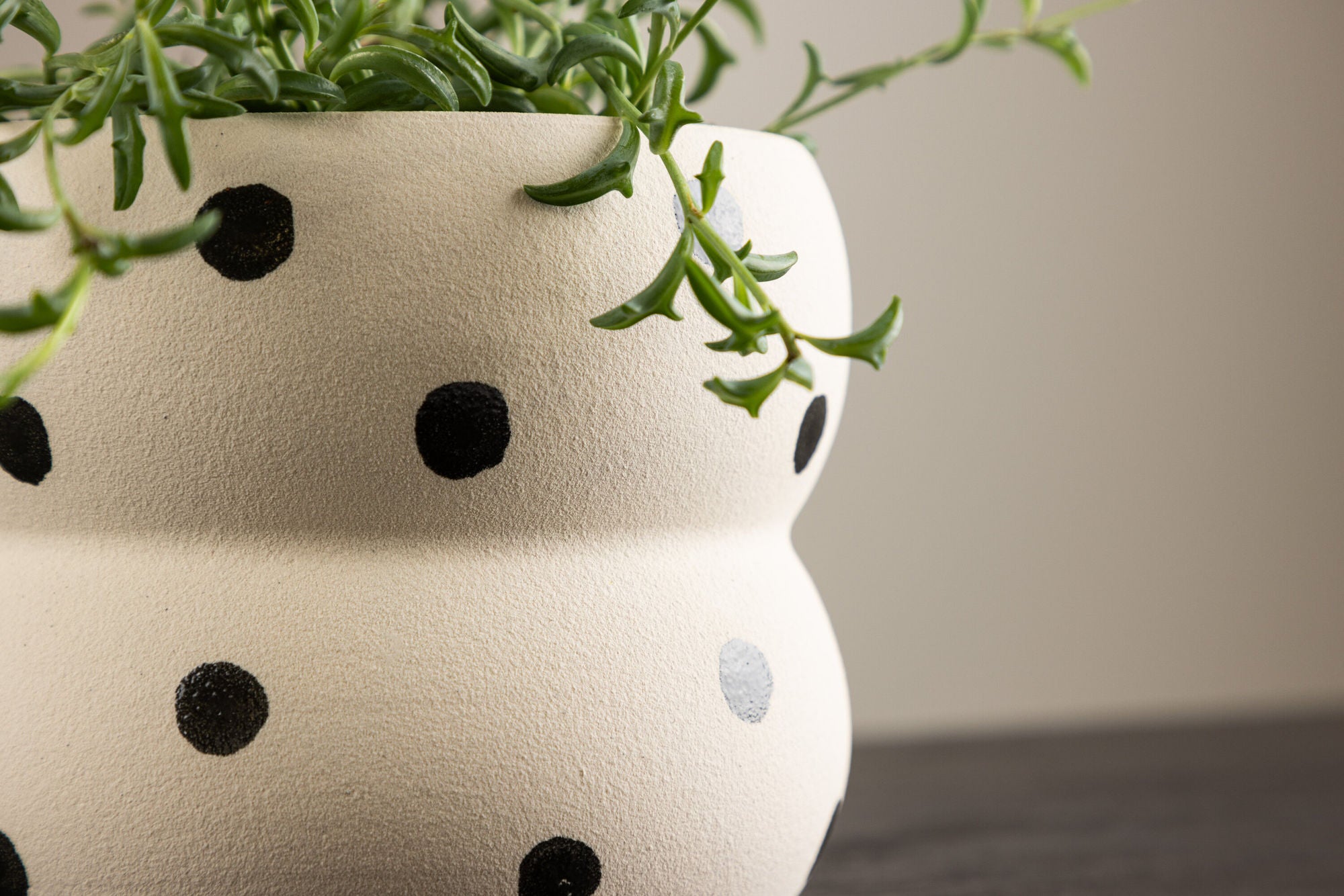 Venture Home Dapne Pot - White/Black Dots - 16*16*13cm
