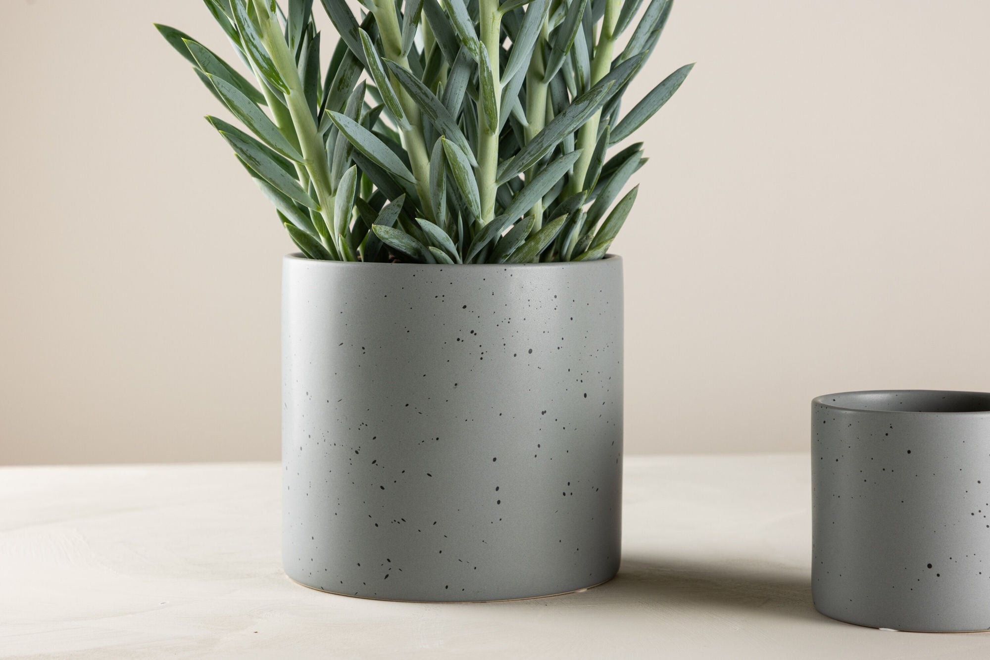 Venture Home Sane Pot - Dark Grey/Black Dots - 18*18*17cm