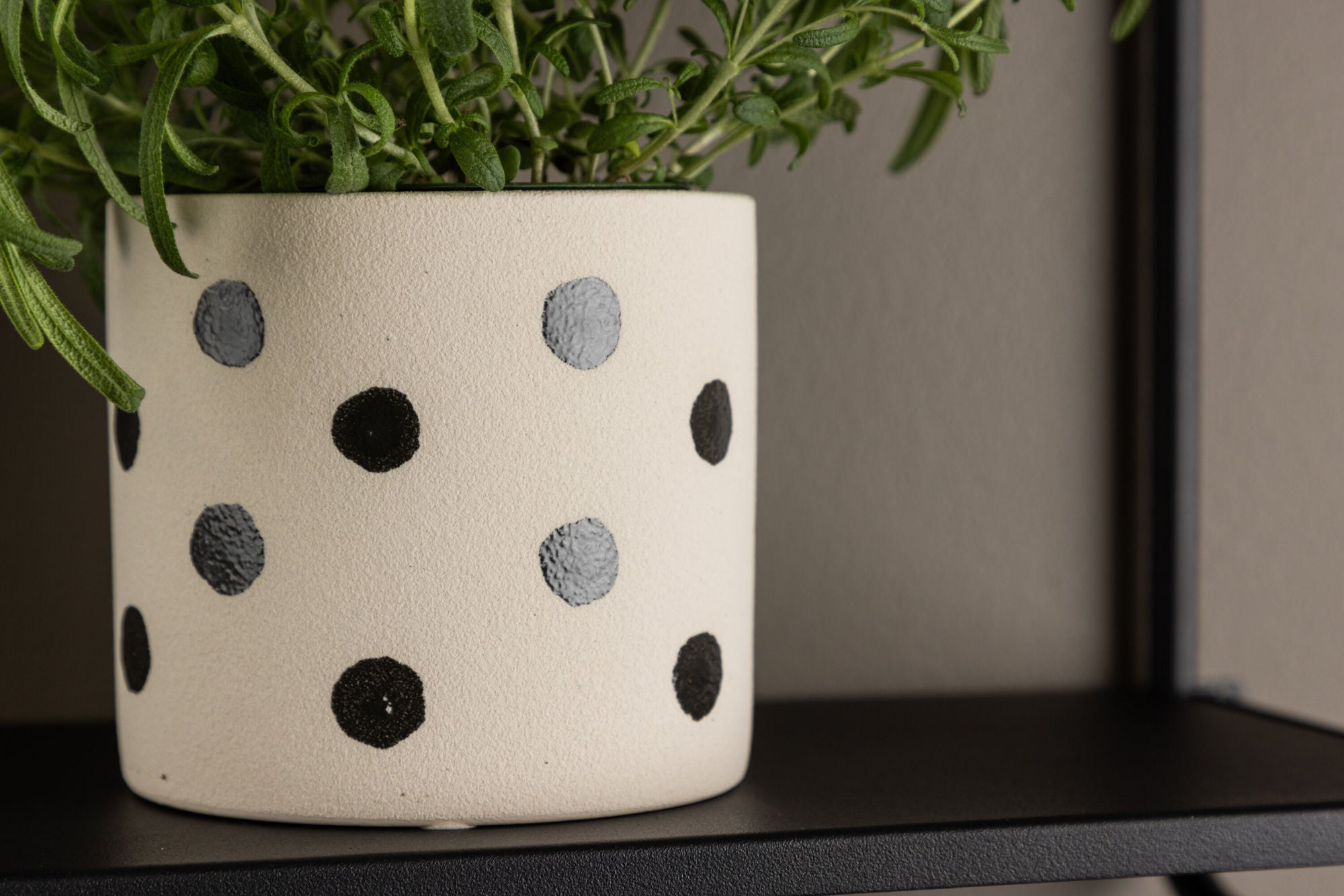 Venture Home Sane Pot - White/Black Dots - 11*11*10cm