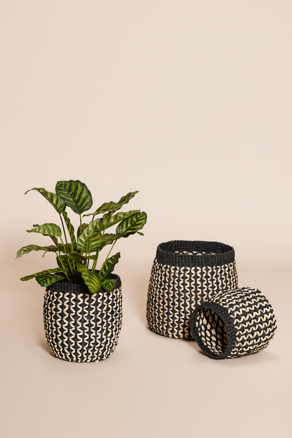 Sprout-kurve, sort/natur (sæt med 3)
