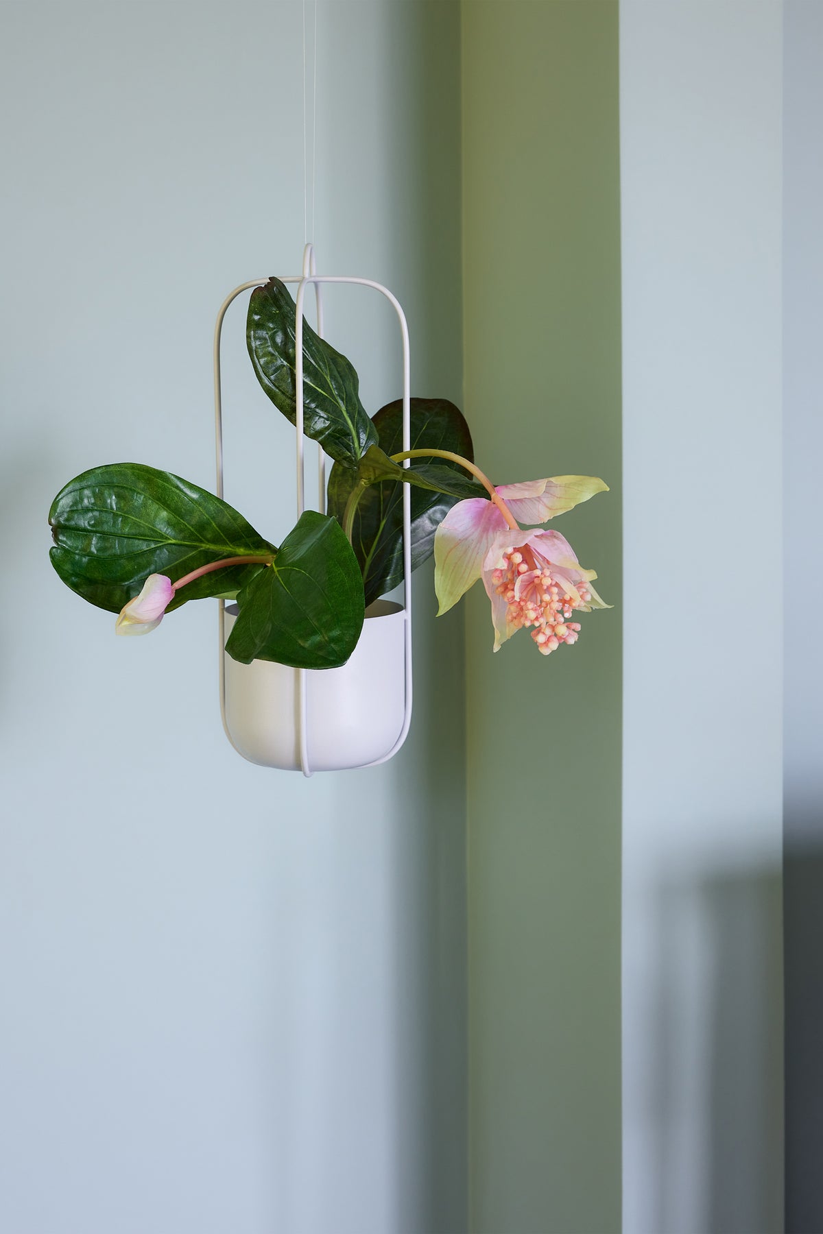 Lotus hængende lysegrå krukker (sæt af 2)