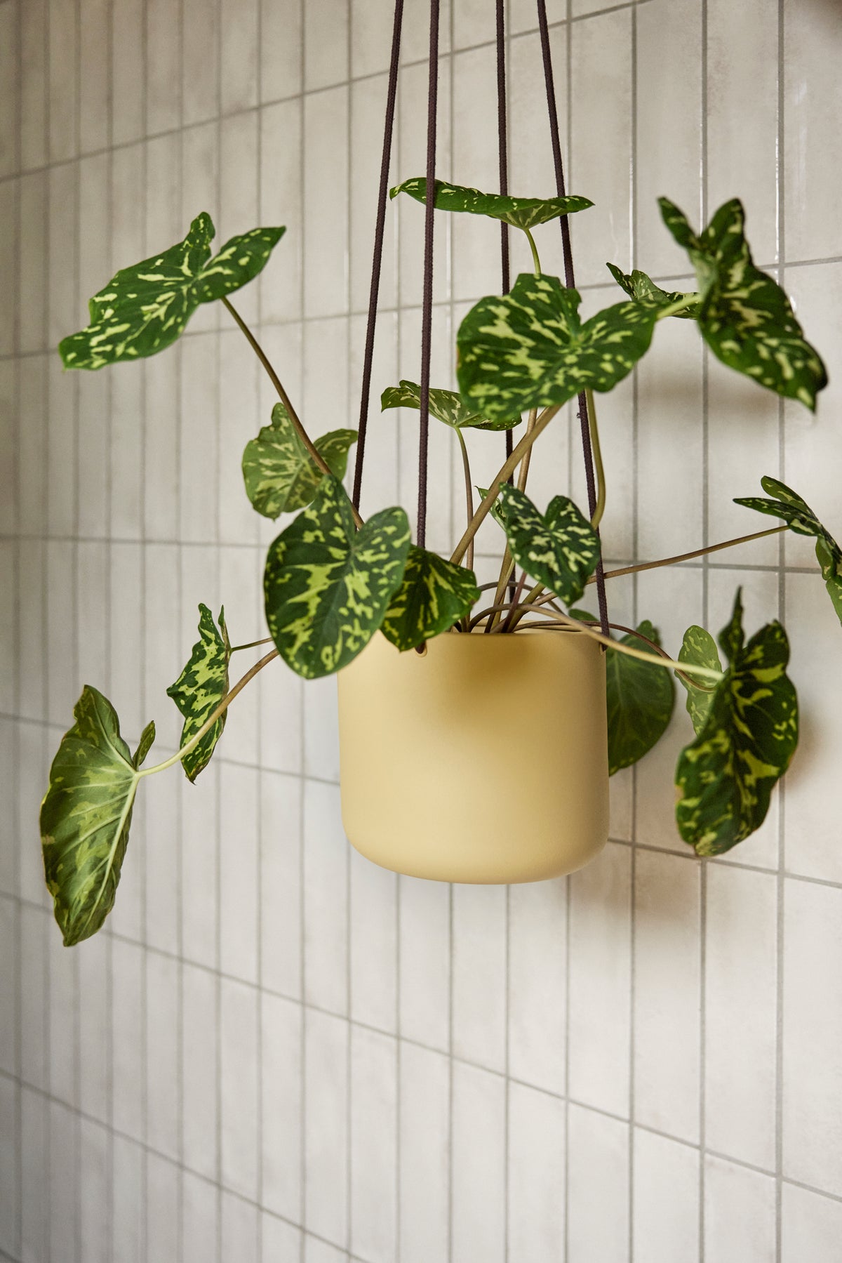 Bloom hængepotter, store, khaki (sæt med 3)
