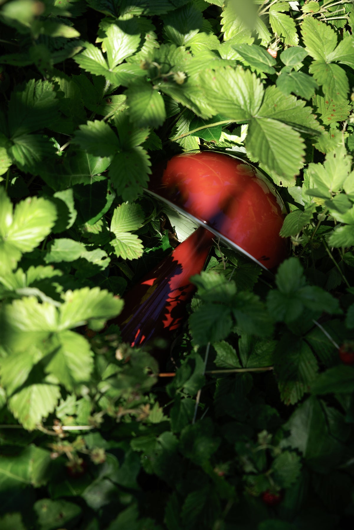 Mush bærbar bordlampe, rød