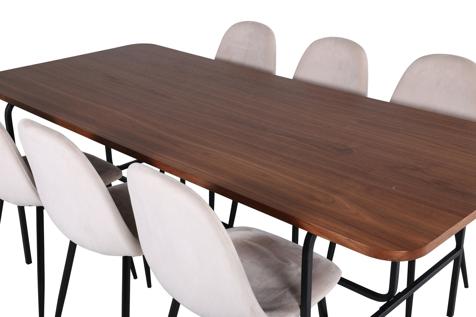 Venture Home Uno spisebord - Black / Walnut Veneer+Polar Spisebordsstol- Black legs / Beige Velvet (ersätter 19902-880)_6