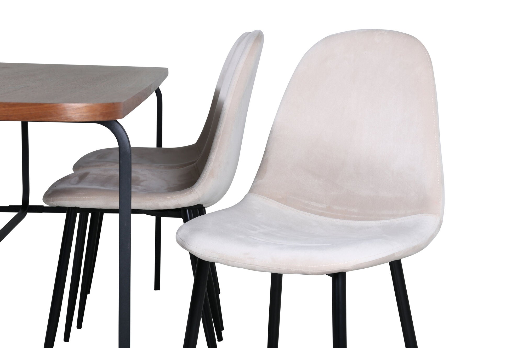 Venture Home Uno spisebord - Black / Walnut Veneer+Polar Spisebordsstol- Black legs / Beige Velvet (ersätter 19902-880)_6