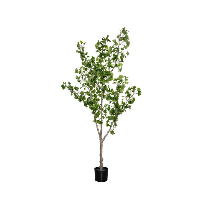 Ginko Biloba-træ L, grøn, Kunstig Plante 180 cm. høj