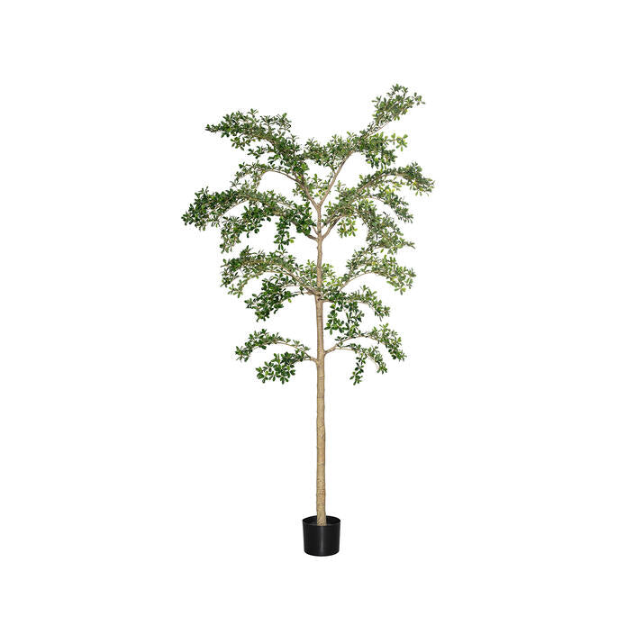 Buchida Buceras Shady Lady-træ XL, grøn, 280 cm. Kunstig plante