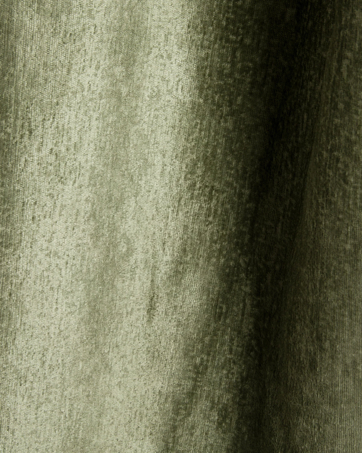 Lupine seng