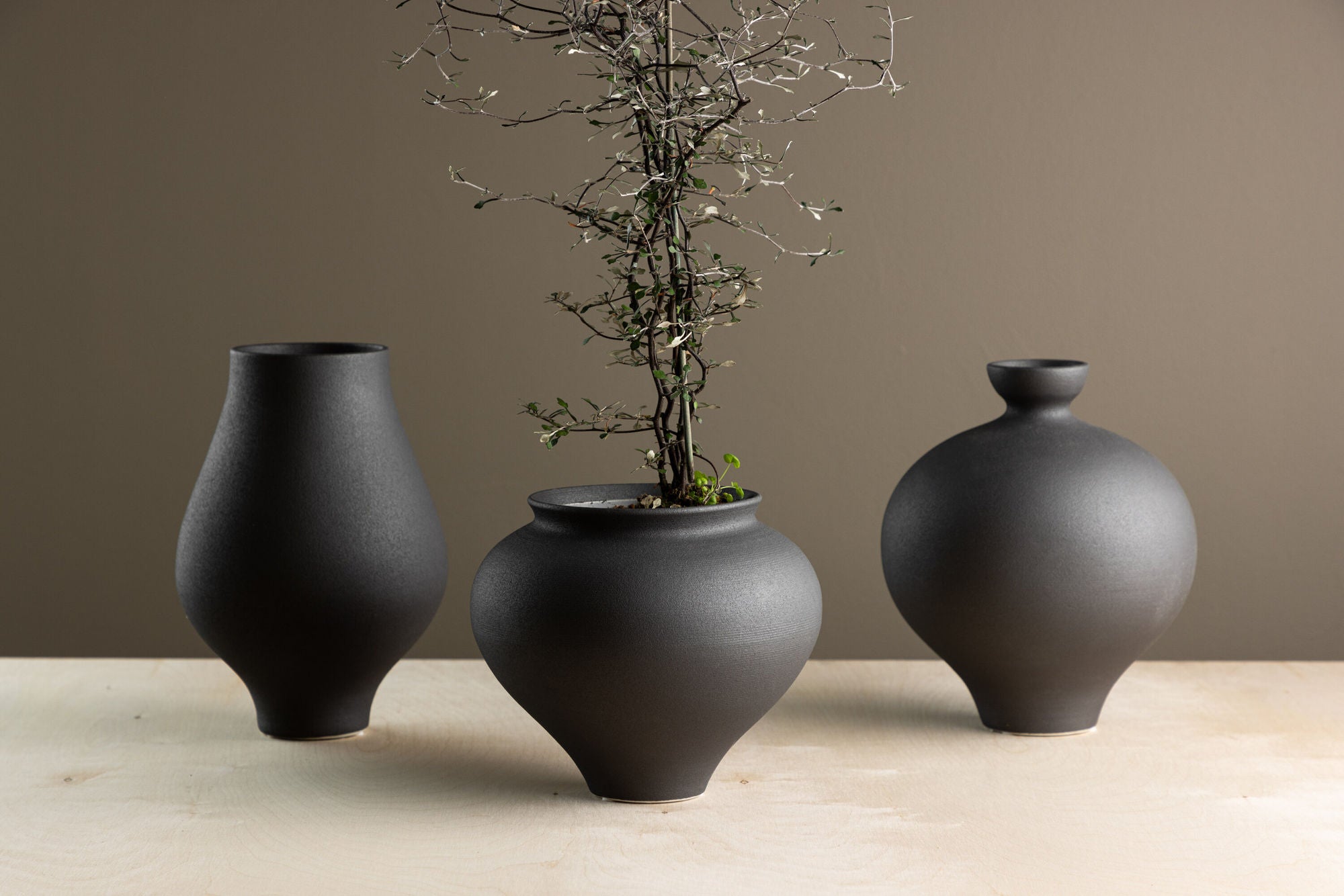 Venture Home Rellis Vase - Black  - D11*H18*B18cm