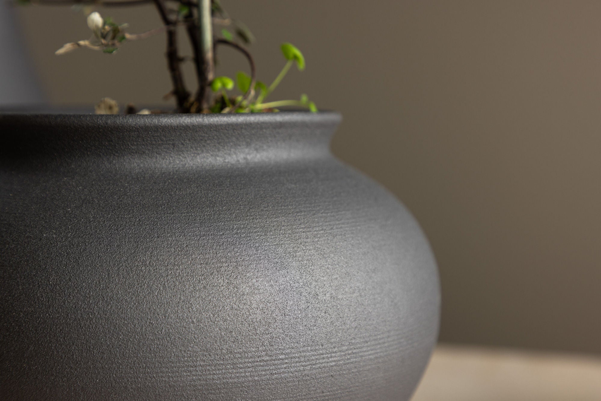 Venture Home Rellis Vase - Black  - D11*H18*B18cm