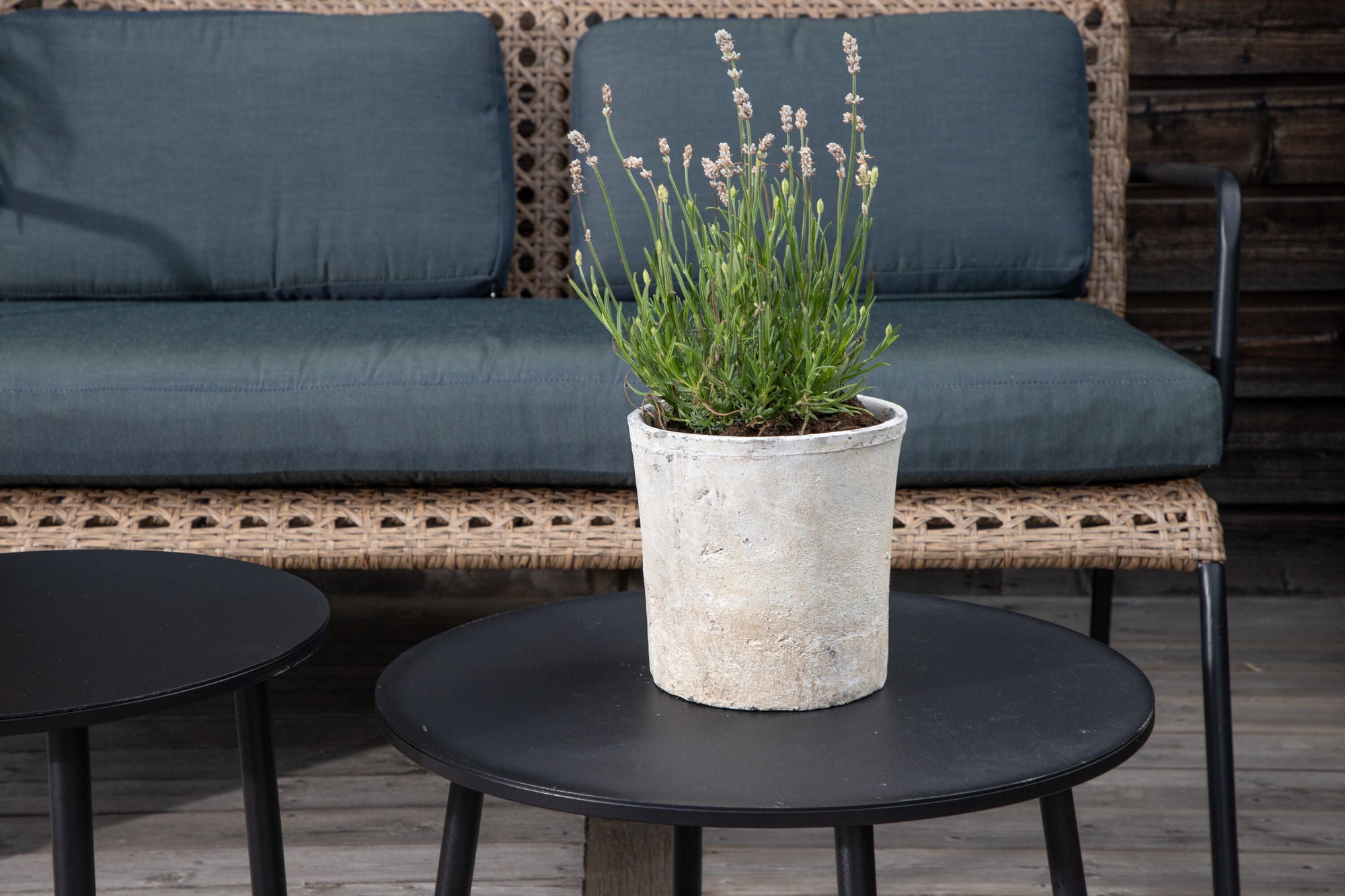 Venture Home Paola Sofa set - Black Steel / Nature Wicker / Black Cushion