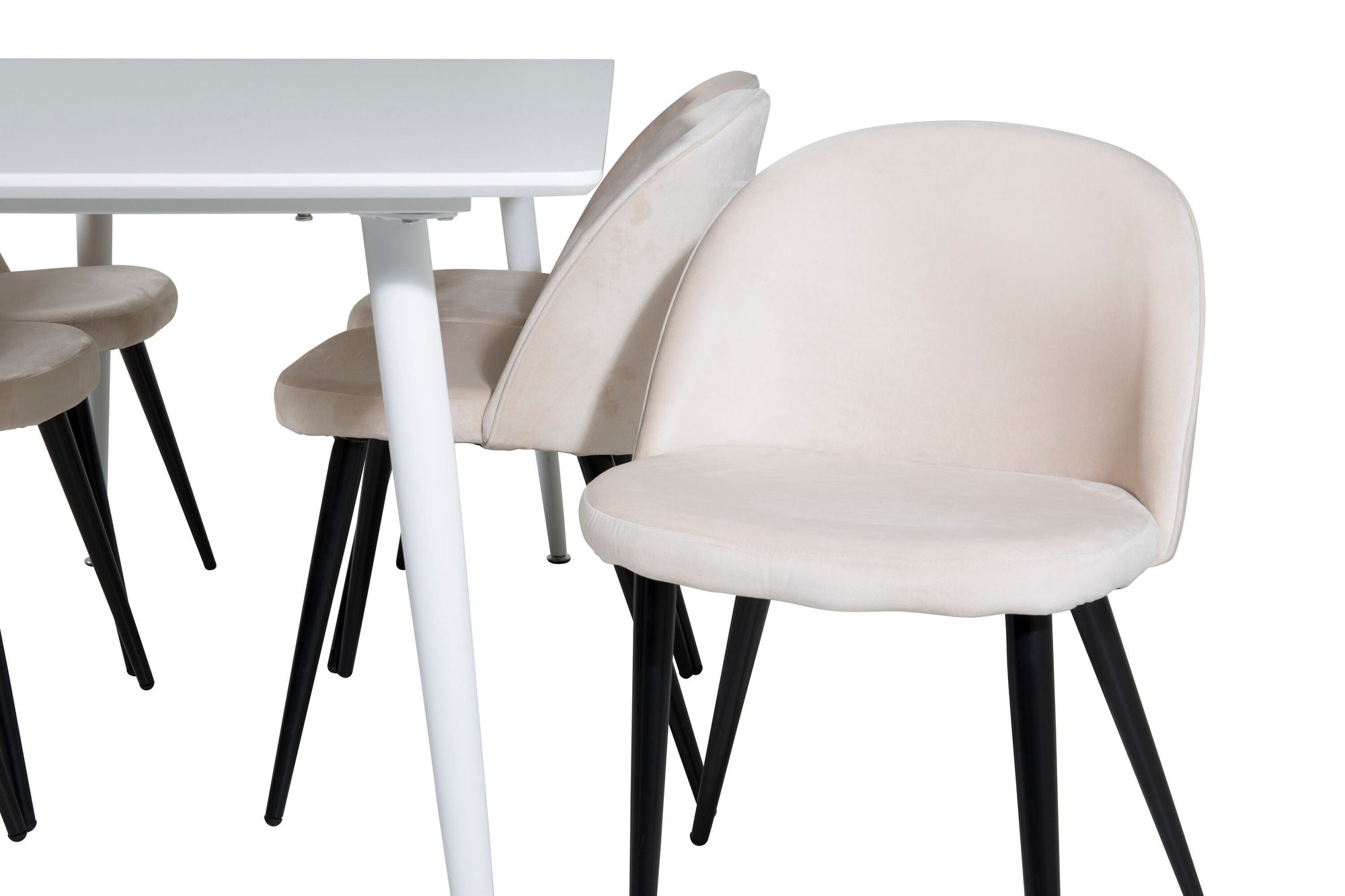Venture Home Polar spisebord 180 cm - White top / White Legs+Velvet Spisebordsstol - Beige / Black_6