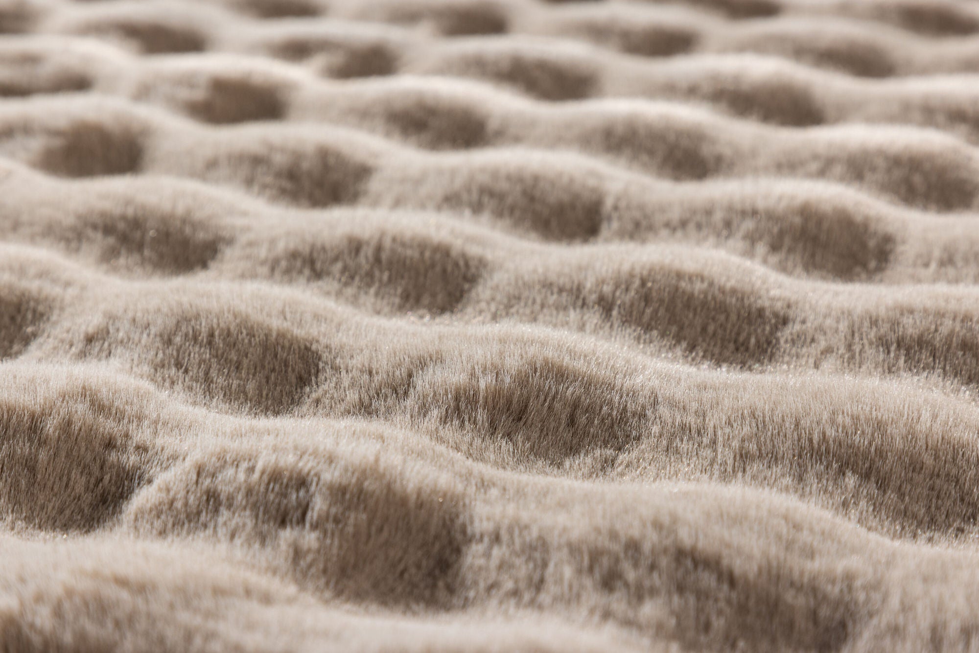 Venture Home Novis 100 % polyester - 200*290-  -Rectangular-Beige