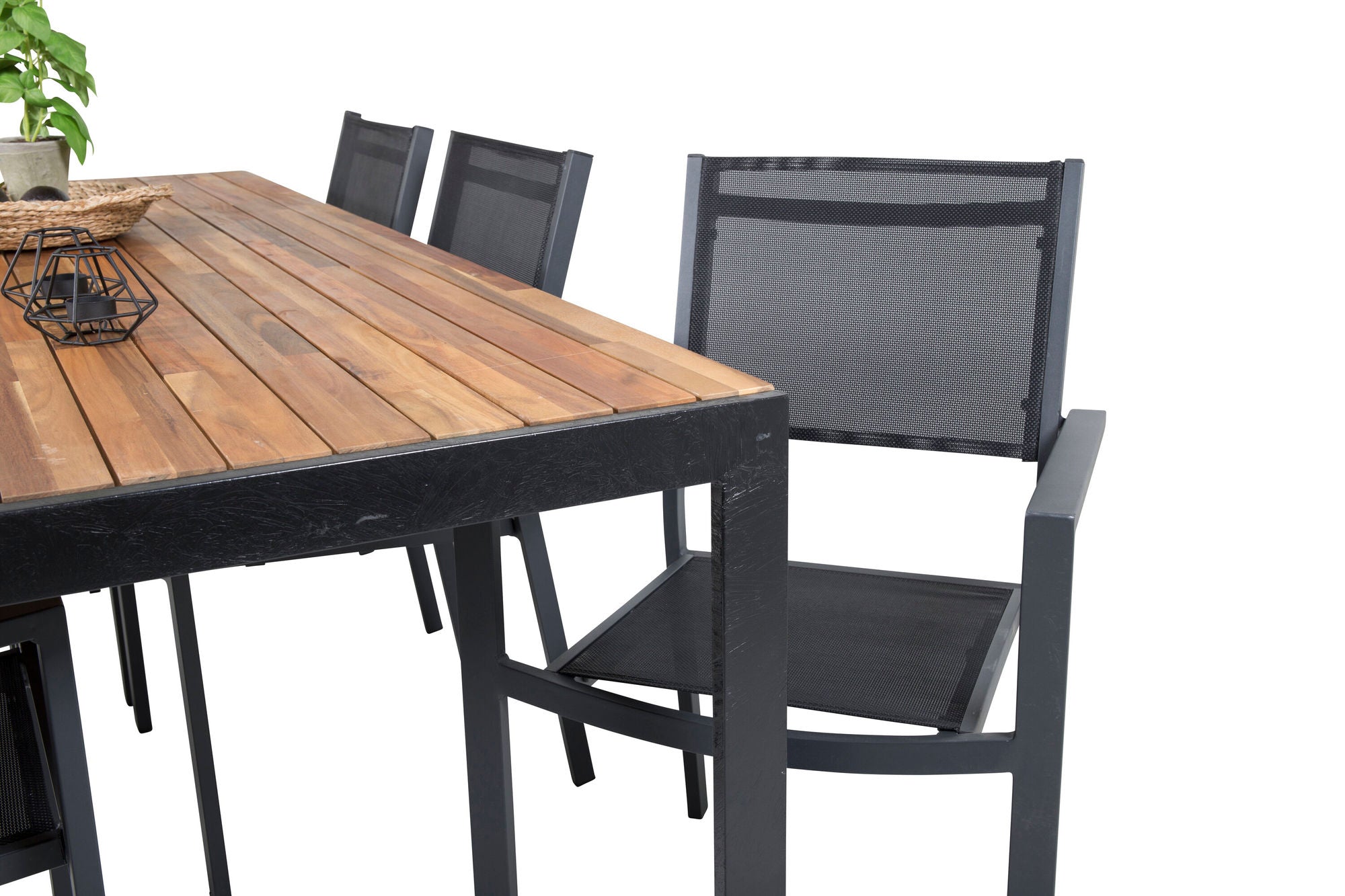 Venture Home Bois spisebord 200*100cm - Black Legs / Acacia +Copacabana Arm stol (stacka